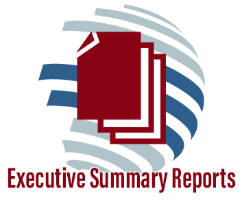 Executive Summary Reports